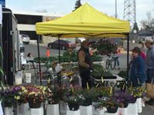 22688579_2170979902927484_4734487826995799432_n_0004_Johnson Nurseries.jpg