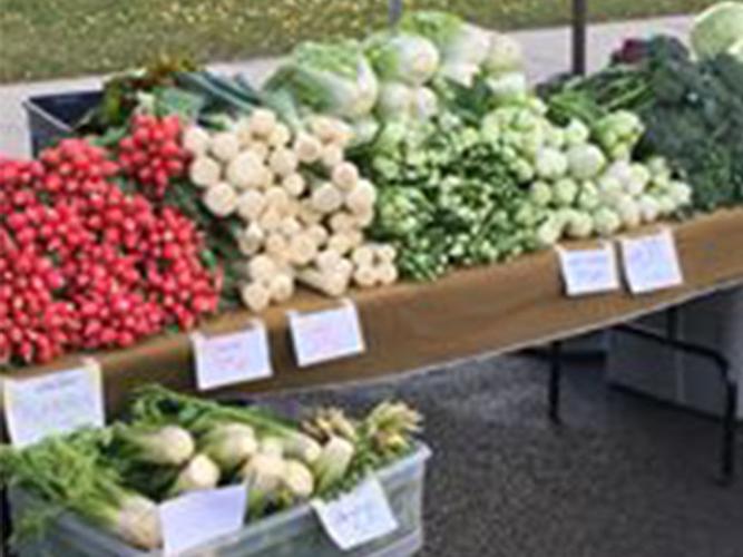22688579_2170979902927484_4734487826995799432_n_0005_Delicious Veggies.jpg