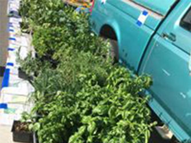 22688579_2170979902927484_4734487826995799432_n_0007_Coverdell Gardens.jpg