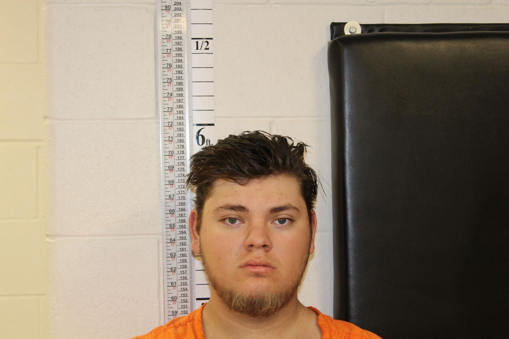 Helena man charged two felony counts