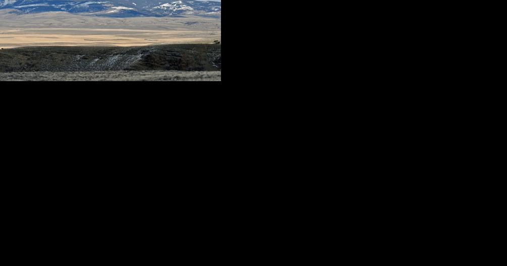 Judge halts Castle Mountains logging project, seeks more analysis - Vimarsana News