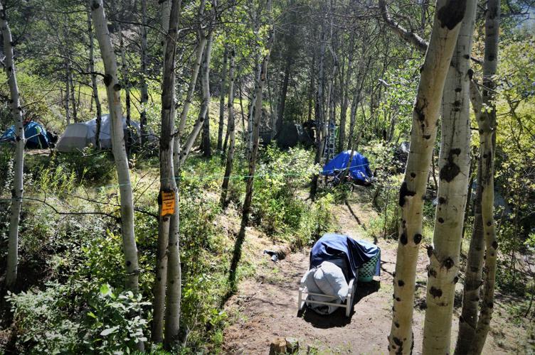 Oro Fino Gulch encampment