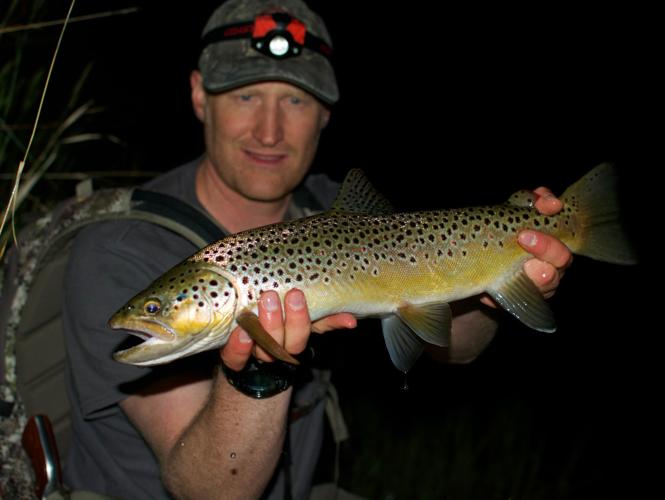 Mousing for trout can lure in monster fish