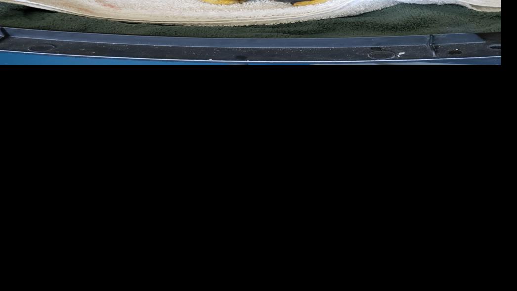 Lead Poisoning Kills Golden Eagle Hunters Adapting