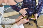 MAPS Bird Banding at Spring Meadow