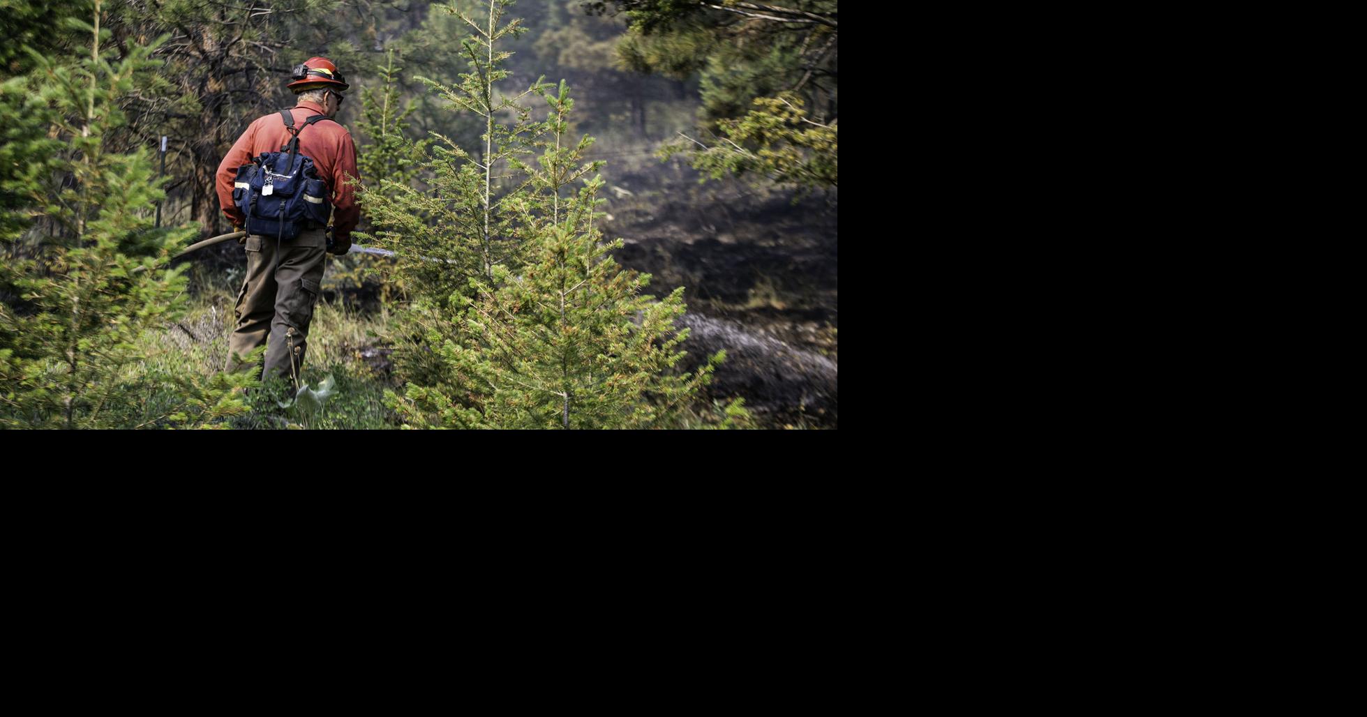 Helena man cited in Grizzly Gulch fire