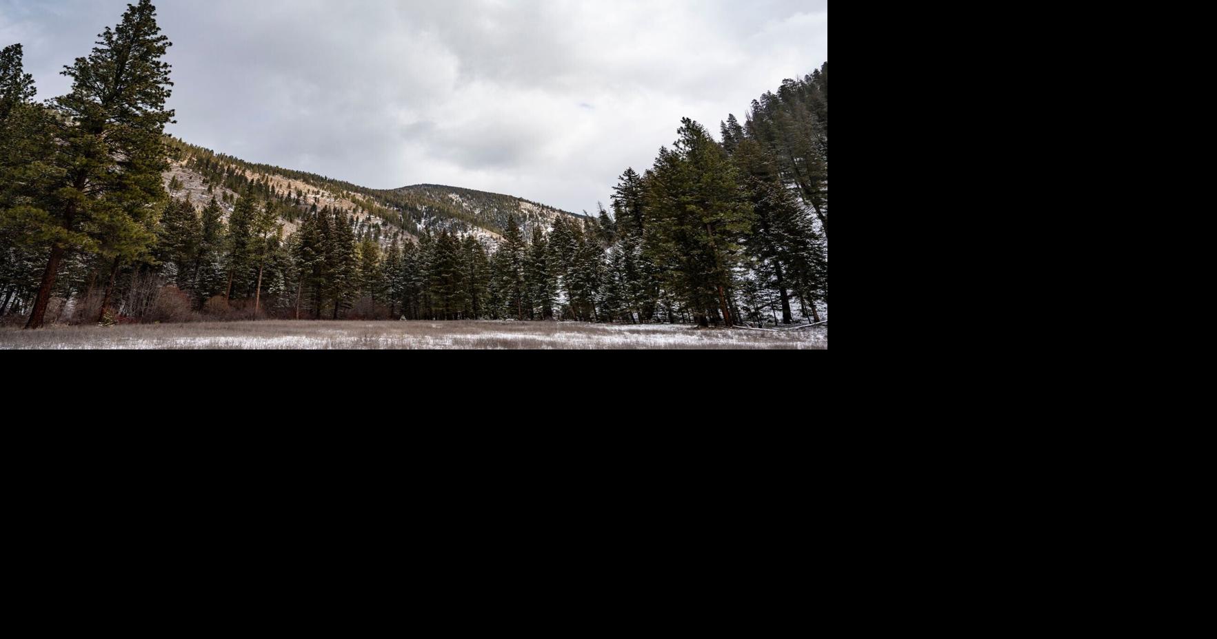 As feds seek to nix roadless rule, their own study undermines wildfire claims Sep 8, 2026 4 hrs ago