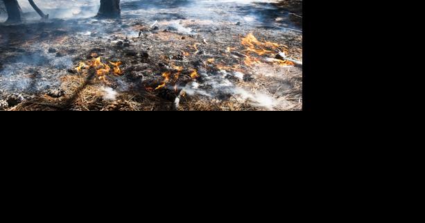 City to burn slash piles Thursday on Mount Ascension - Vimarsana News