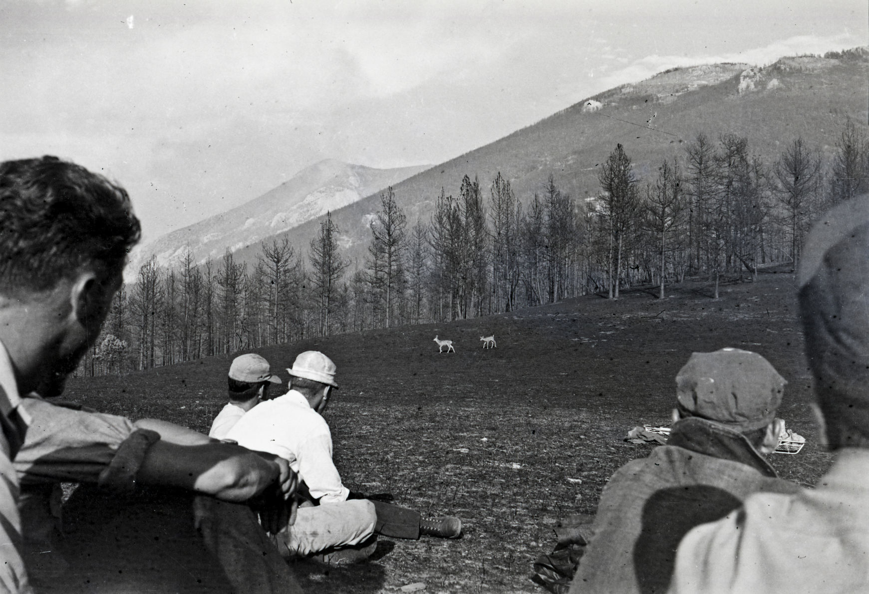 Smokejumper Recounted Mann Gulch Recovery Effort In Photos