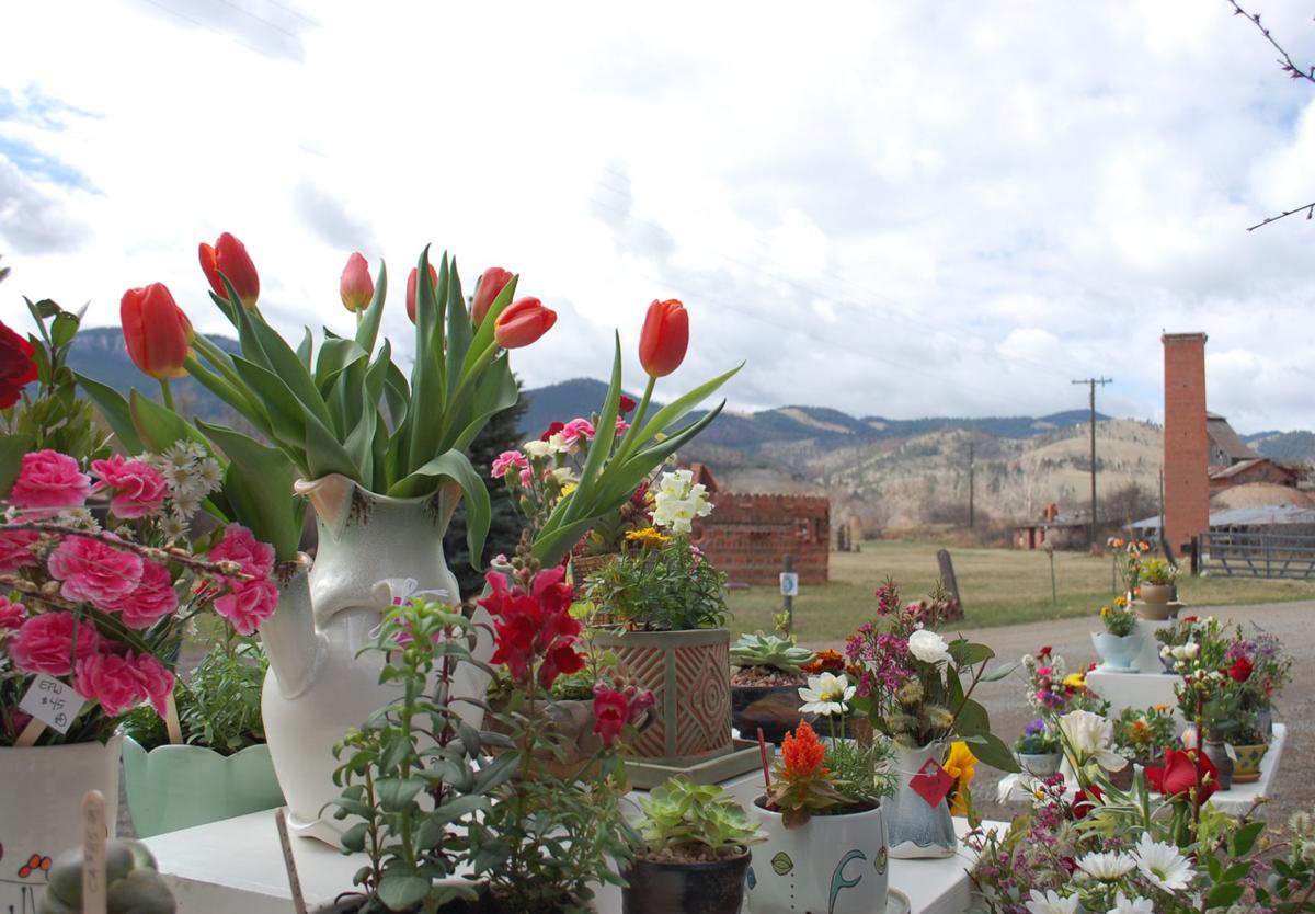 Bray pots and plants