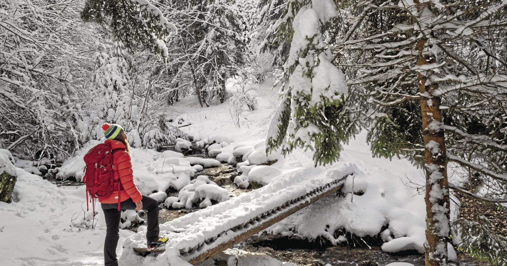 Montana FWP offers guided state park hikes on New Year's Day - Vimarsana News