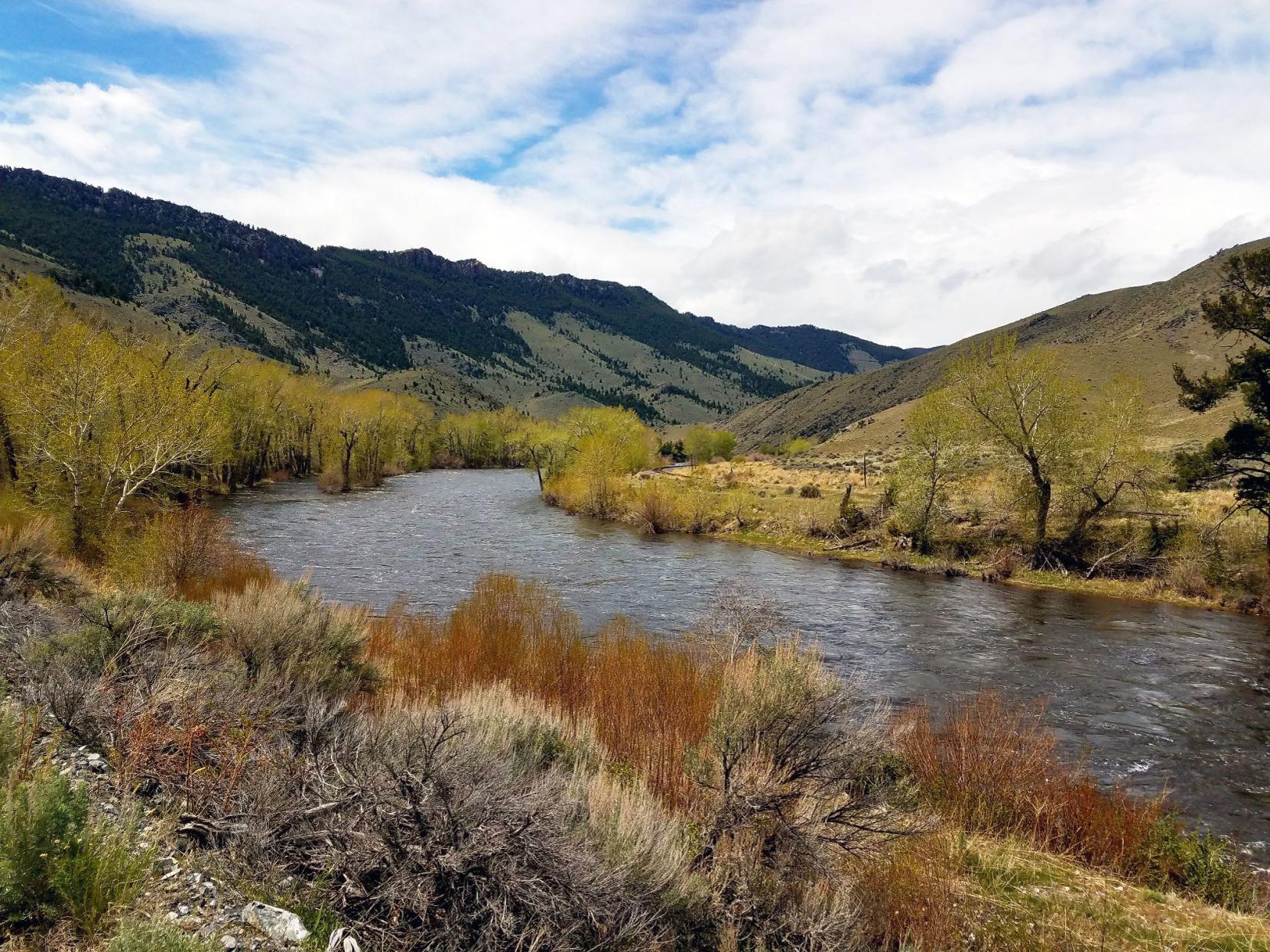 Beaverhead Deerlodge National Forest Helenair Com