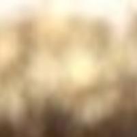 Bear Spray Successfully Used To Fend Off Mountain Lion Outdoors Helenair Com