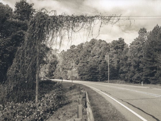 Montana State’s Christina Anderson publishes modern guide to historic photo process