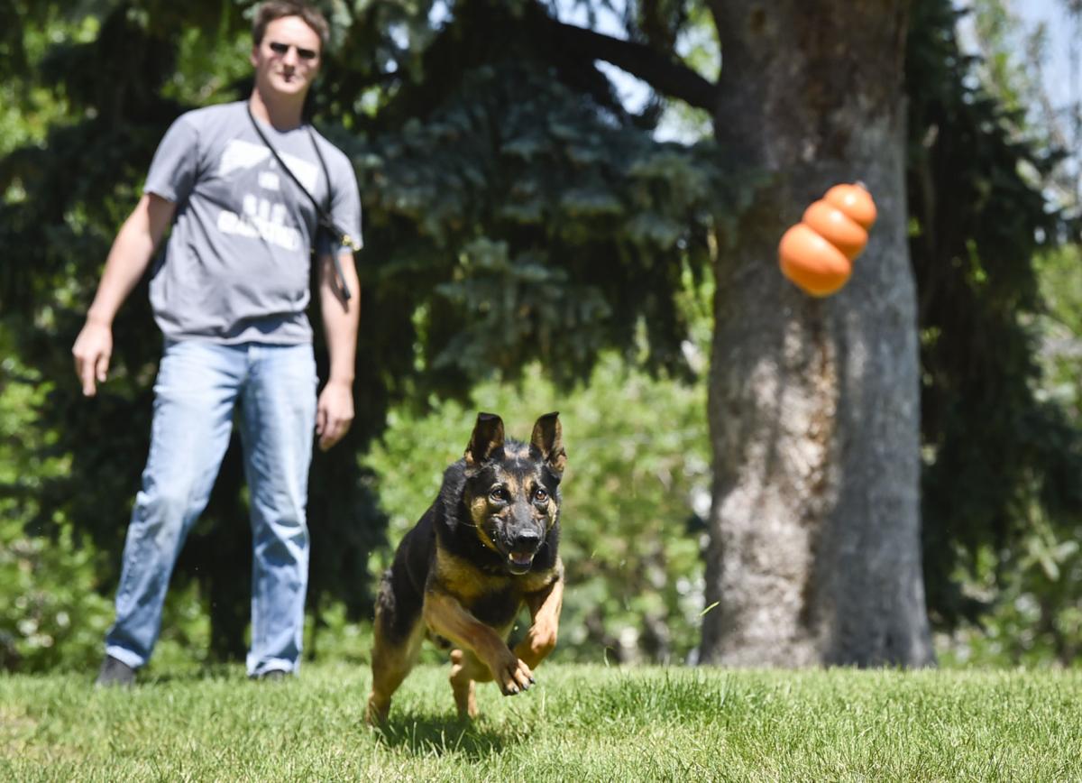 Former HPD senior officer John Kaleczyc throws a dog toy for Din