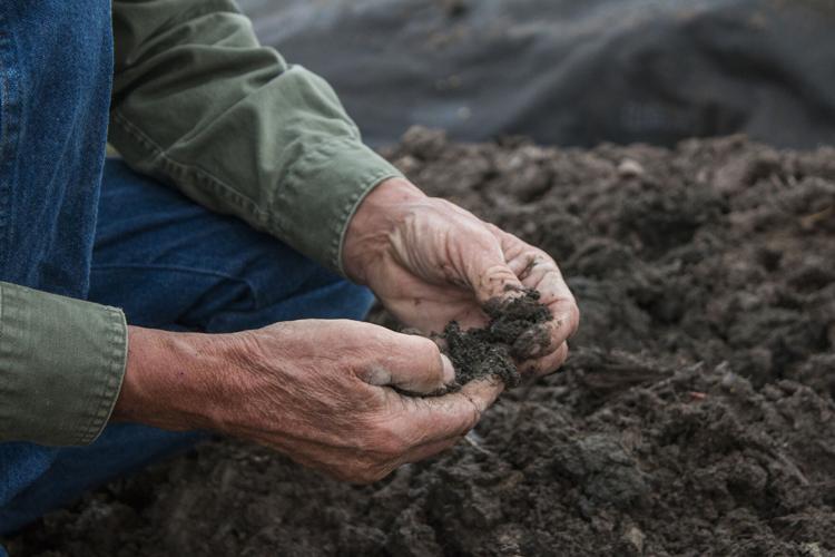 Soil_Hands_PRESS.jpg