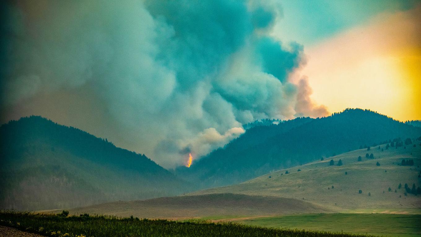 Alder Creek and Goose wildfires grow in windy and dry conditions - Vimarsana News