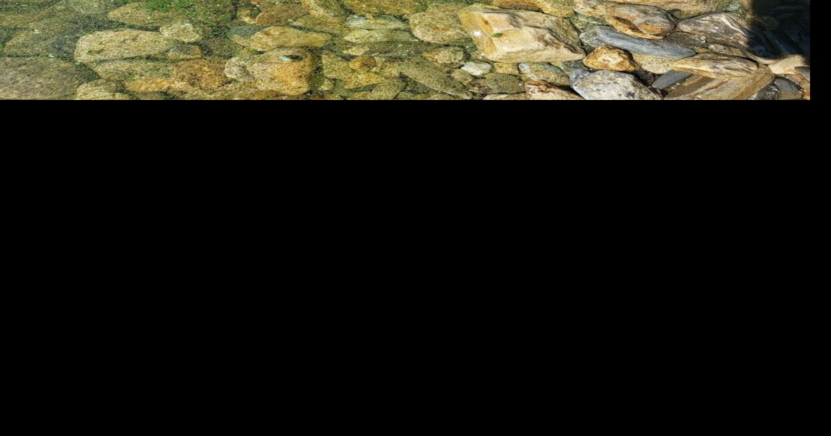 Another harmful algal bloom reported on Canyon Ferry