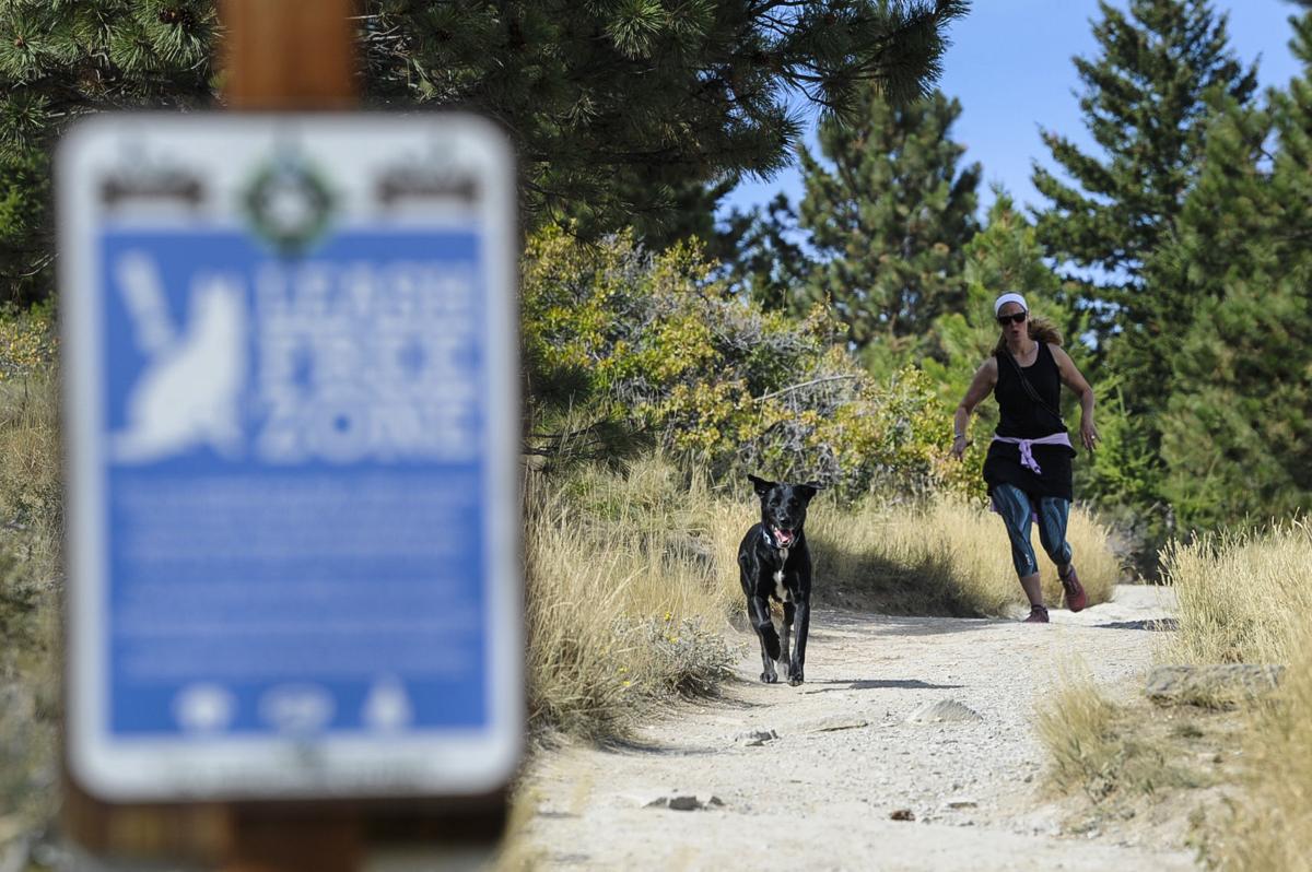A trial runner and her dog use the Mount Helena trail system on Wednesday.