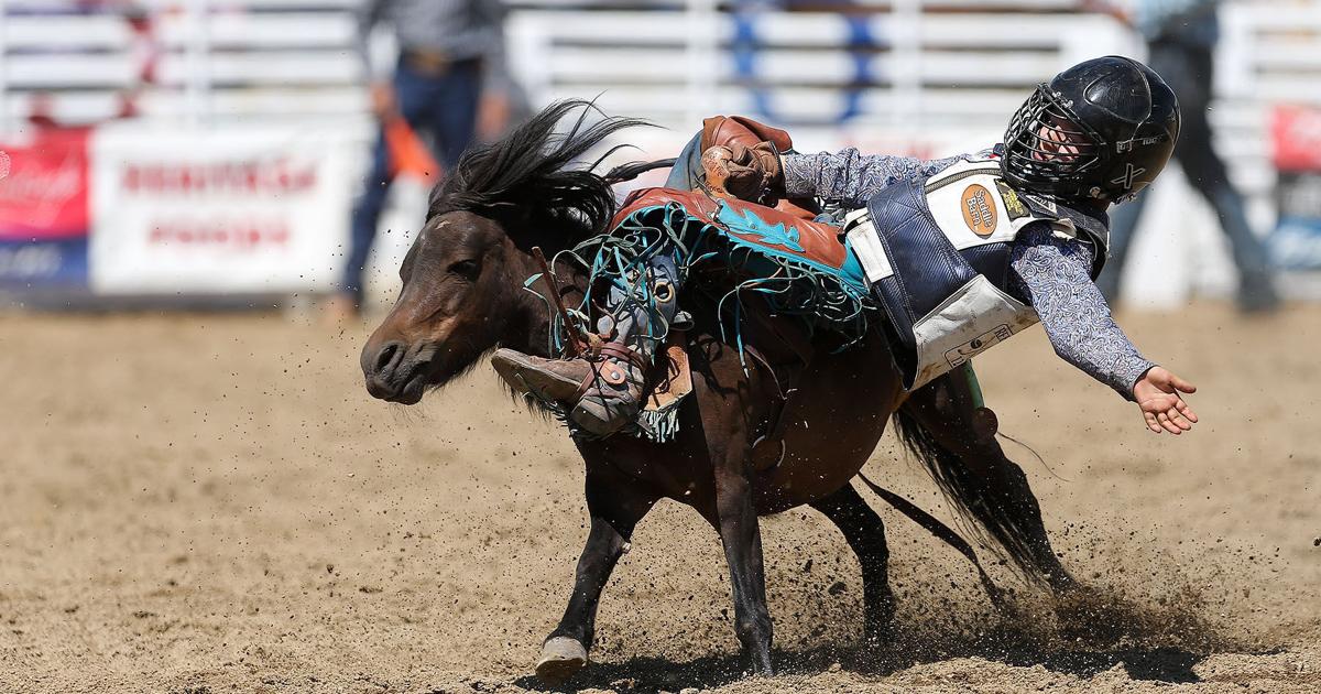406 Rodeo East Helena Rodeo 406 Mini Buckers winners