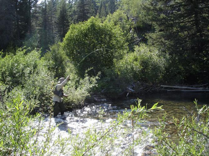 Tenderfoot Legacy land acquisition celebrated