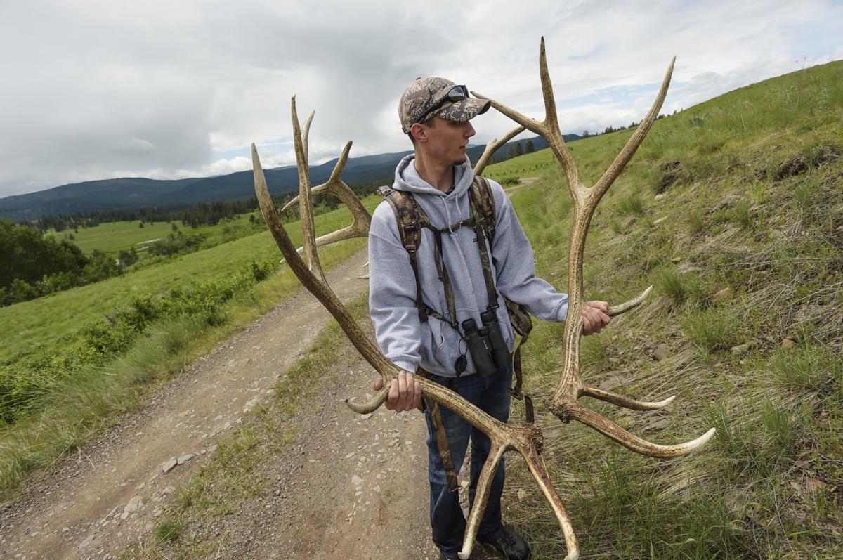 Photos The 2018 Blackfoot Clearwater Antler Hunt Montana