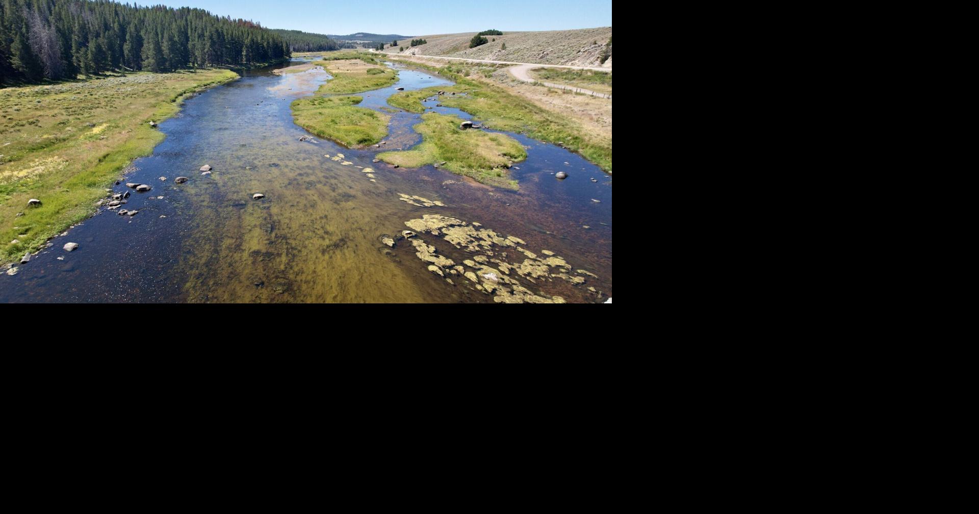 DEQ and river group spar over water quality standards