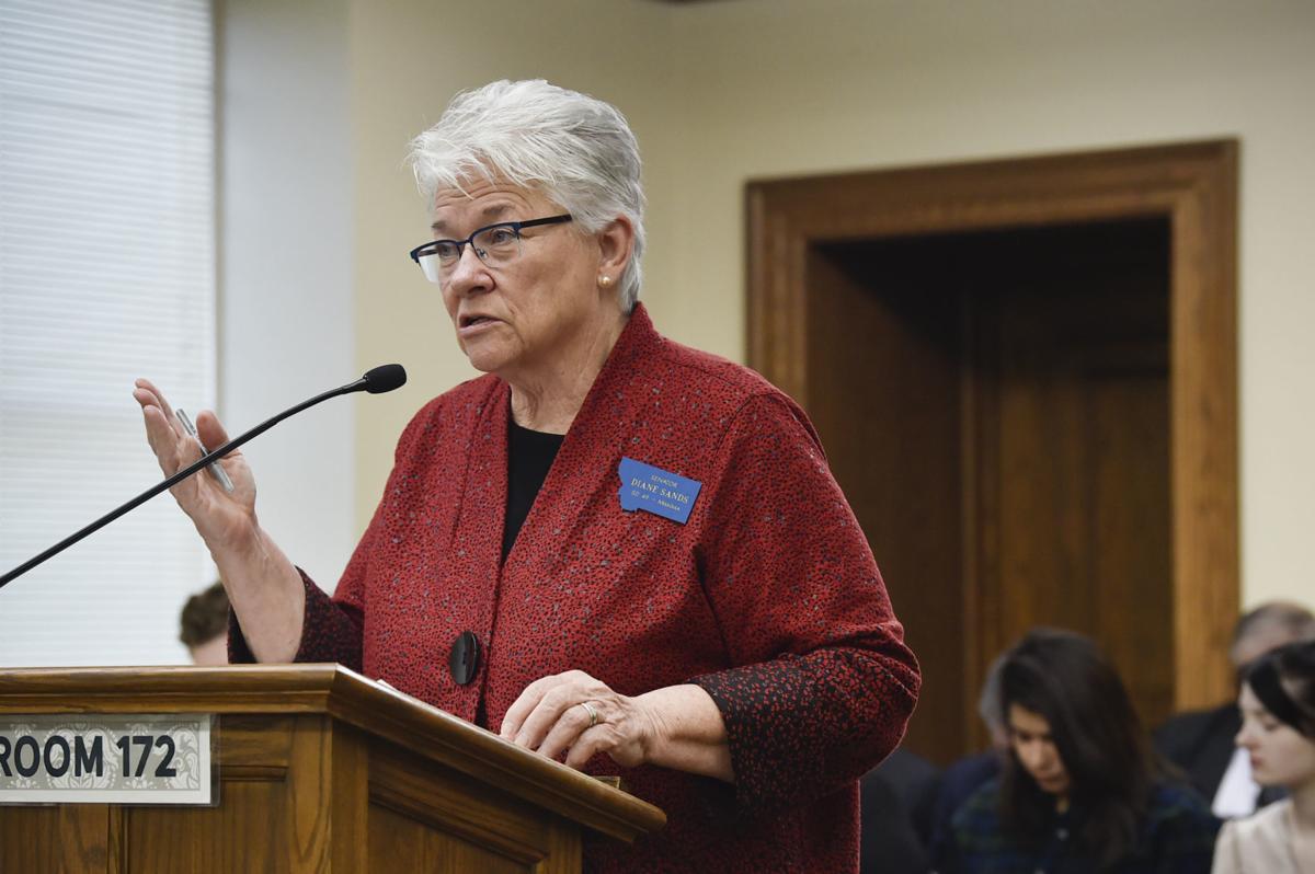 Sen. Diane Sands
