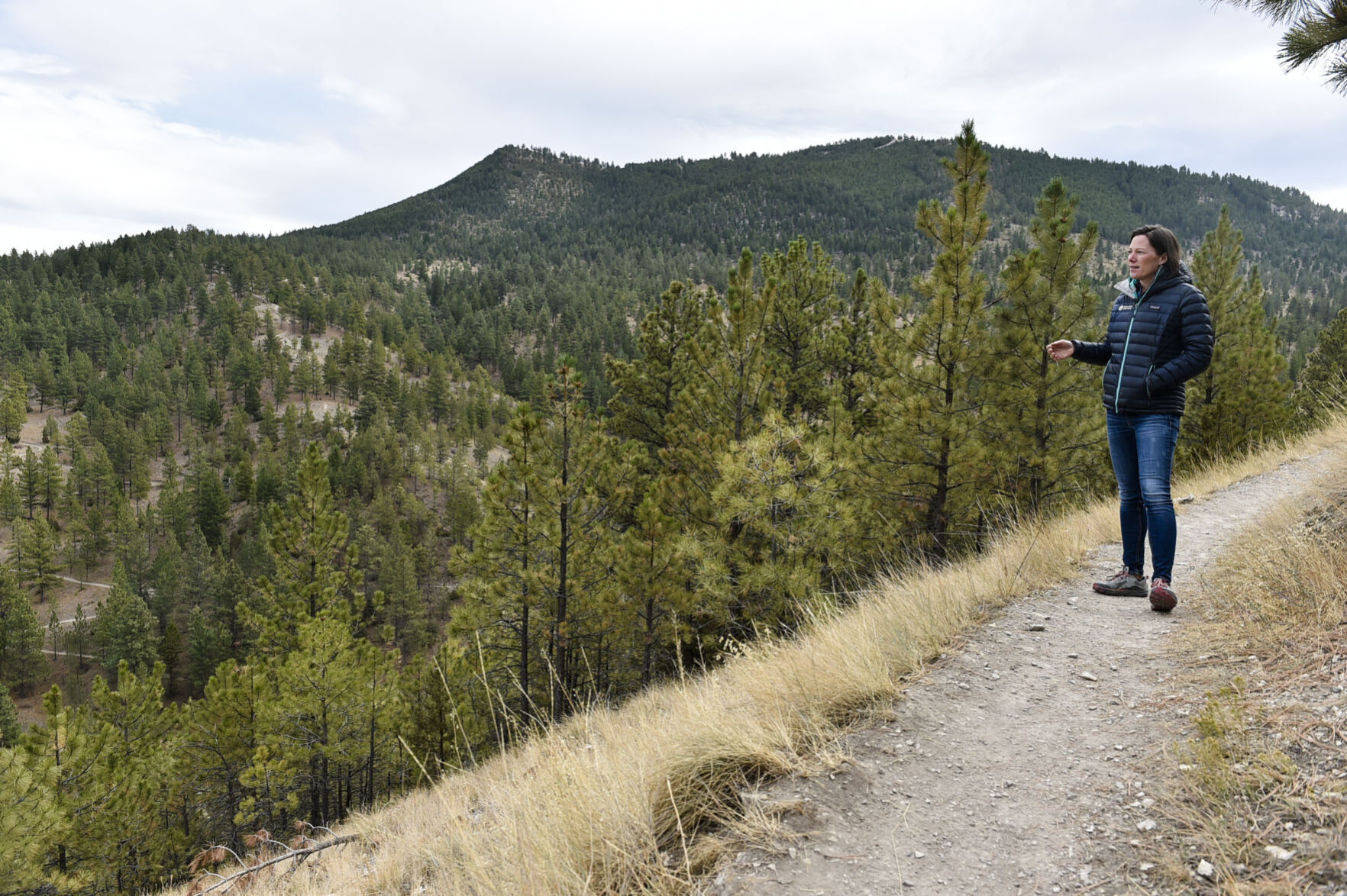 Prickly Pear Land Trust Marks A Quarter Century Of Conservation