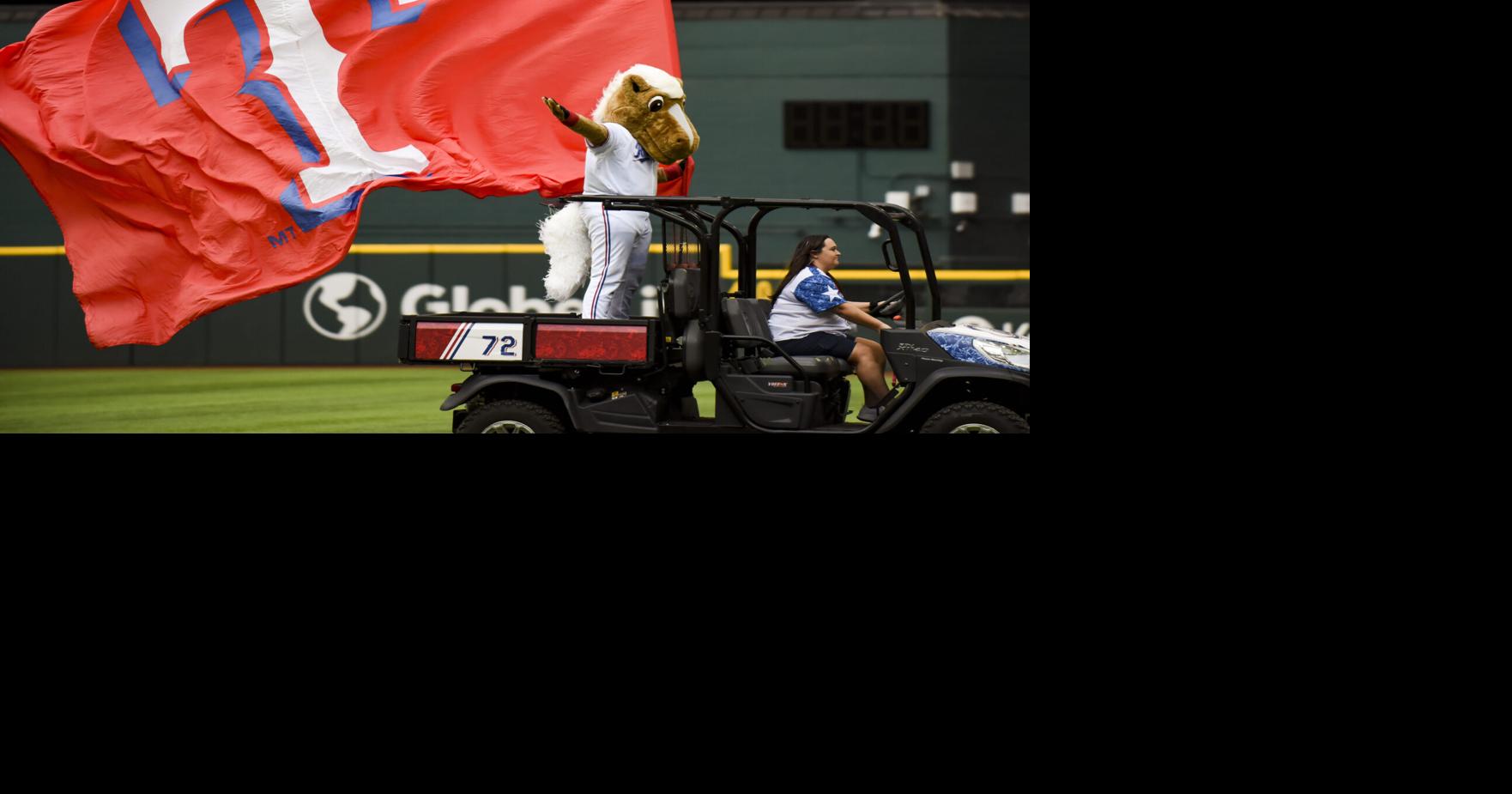 I-Cubs Pride Night - Capital City Pride