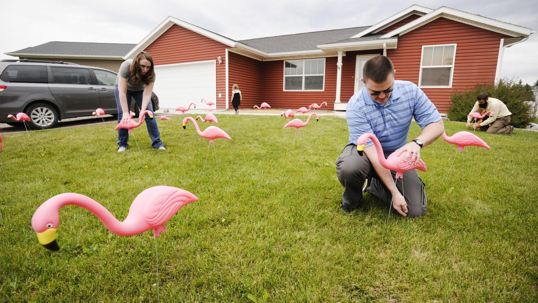 Helena Residents Flocking Their Neighbors For A Good Cause Local