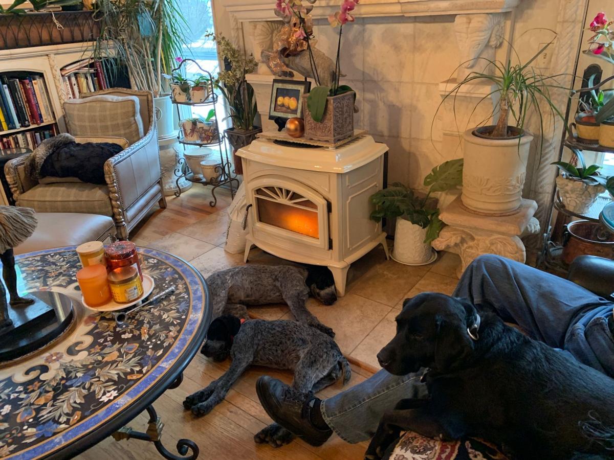 Pet Psychic Cowboys Help Find Missing Missoula Dogs State