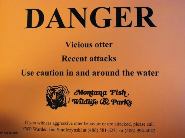 River otter attacks woman