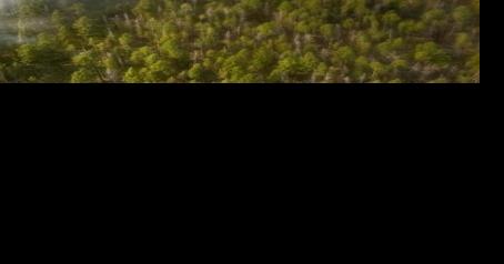 Murray fire near Helmville now listed at 55 acres - Vimarsana News