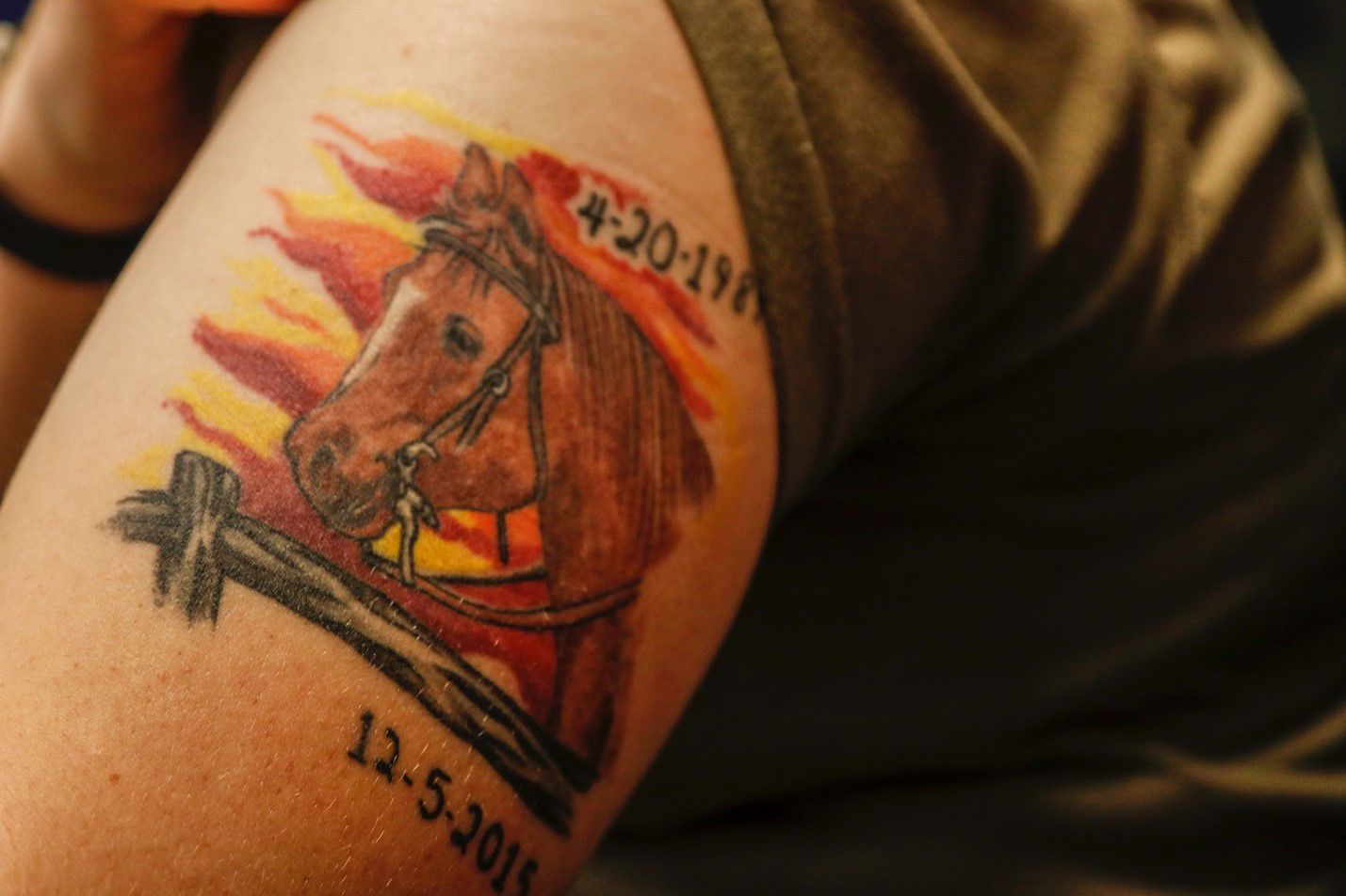Tattoo of Horses Animals Cover Up
