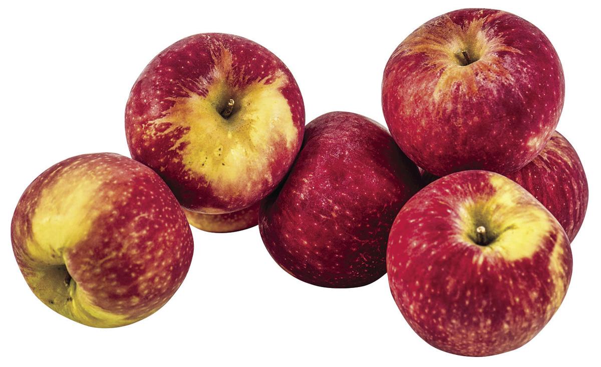 Lessons From A Forbidden Fruit Health Fitness Helenair Com You can also buy fruits from fruit dealer that stocks them every 4 hours. lessons from a forbidden fruit health