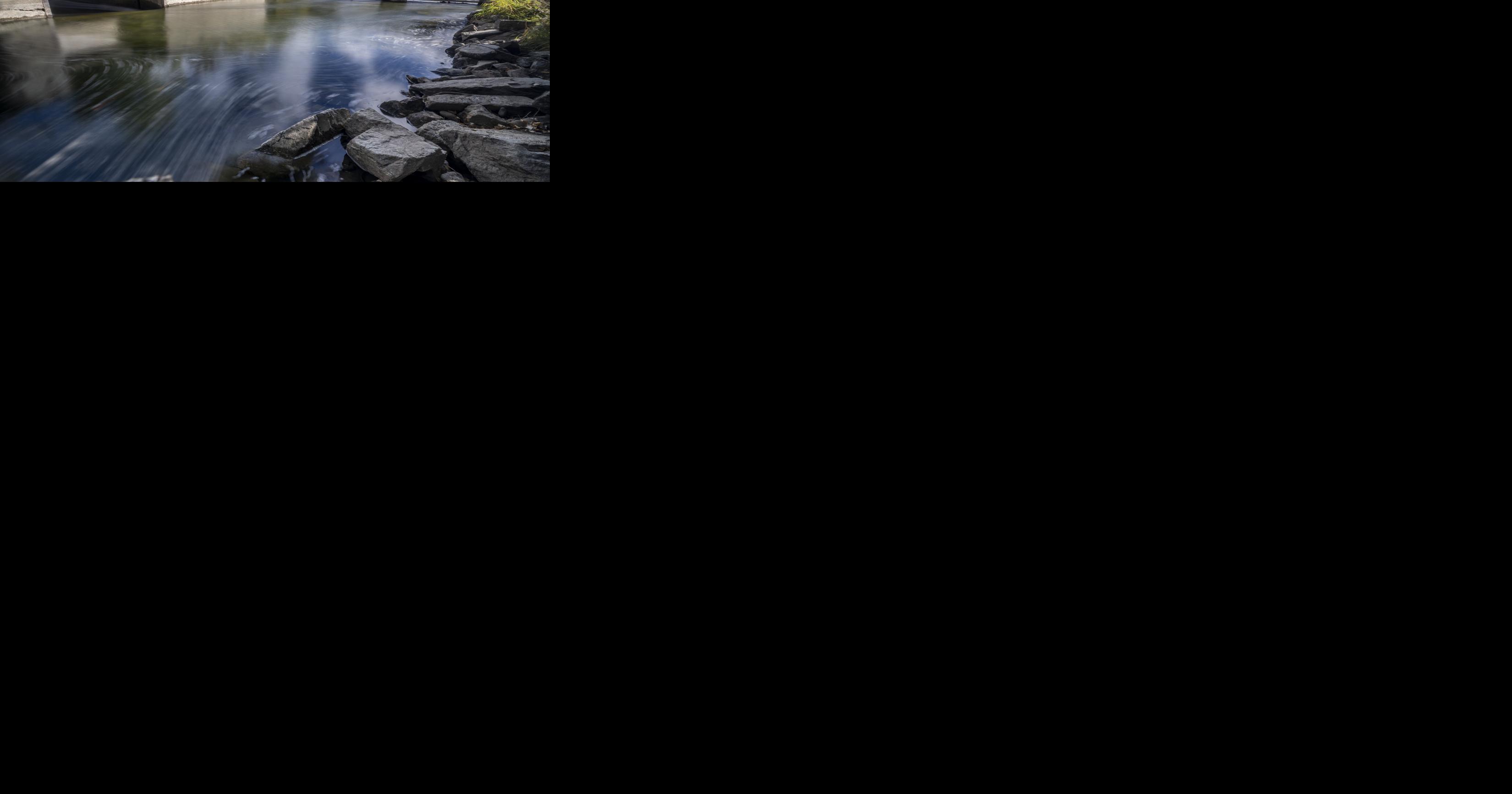 Fish screen 01