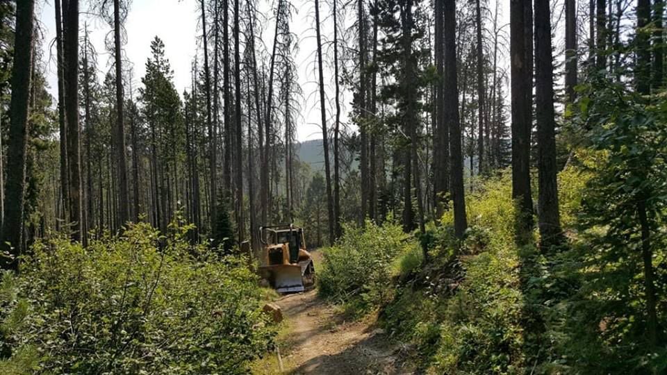 467 Trail Fire Dozer 467 Trail Fire Dozer