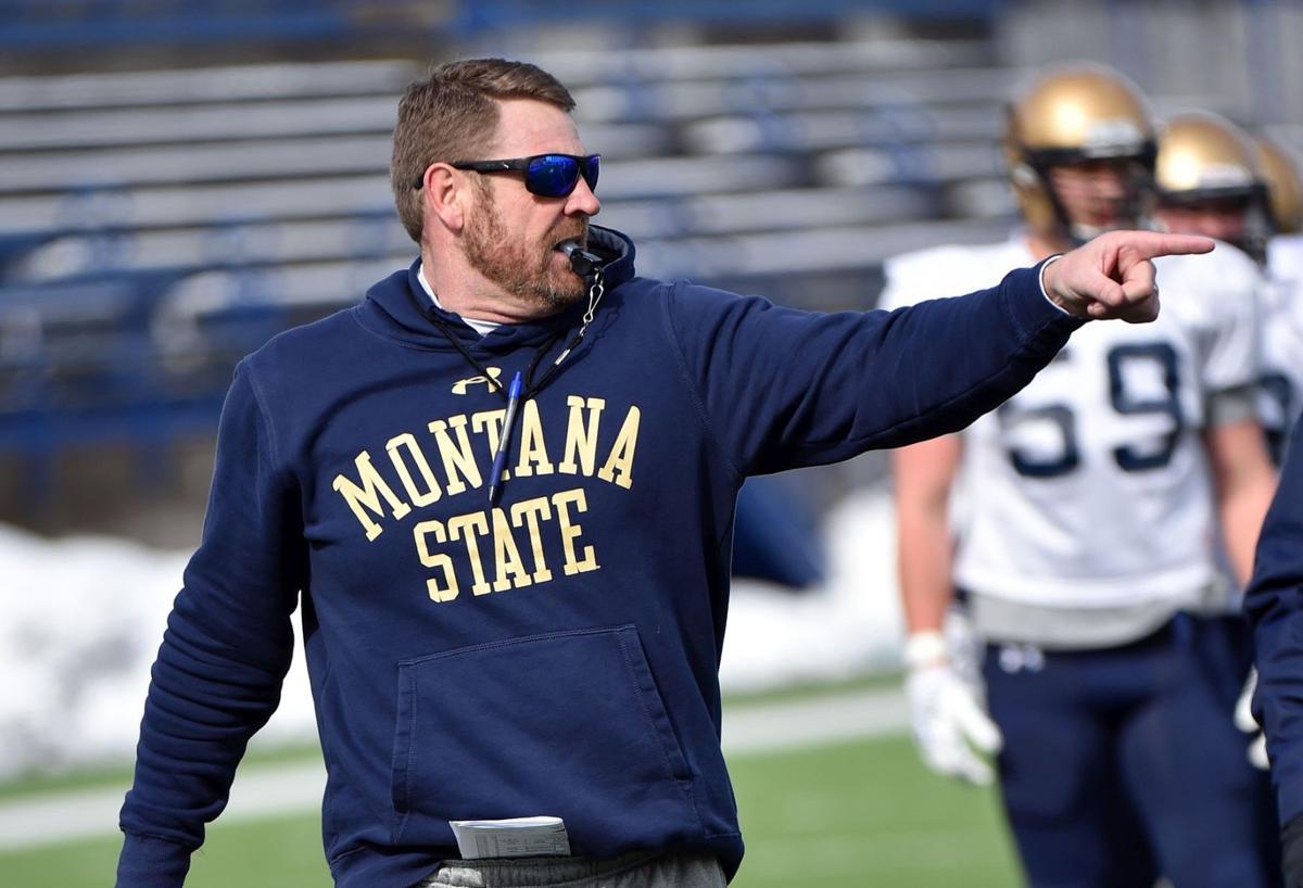 Montana State Hires Defensive Backs Coach Bobcats Helenair Com
