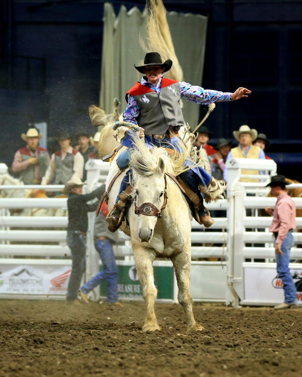 Buckles and chutes Top Montana college cowboys, cowgirls head to CNFR