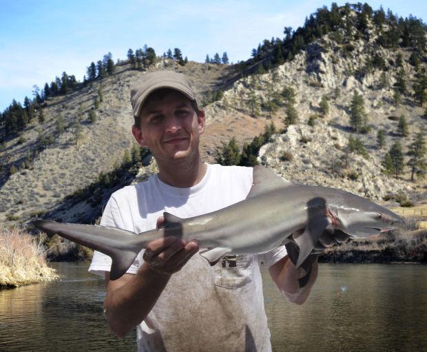 Angler catches shark in Missouri River