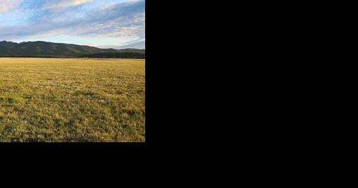 Fish and Wildlife Commission approves Big Snowy Mountain land purchase - Vimarsana News