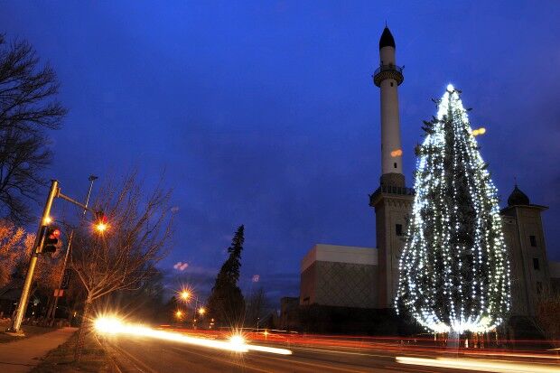 Civic Center Tree 1