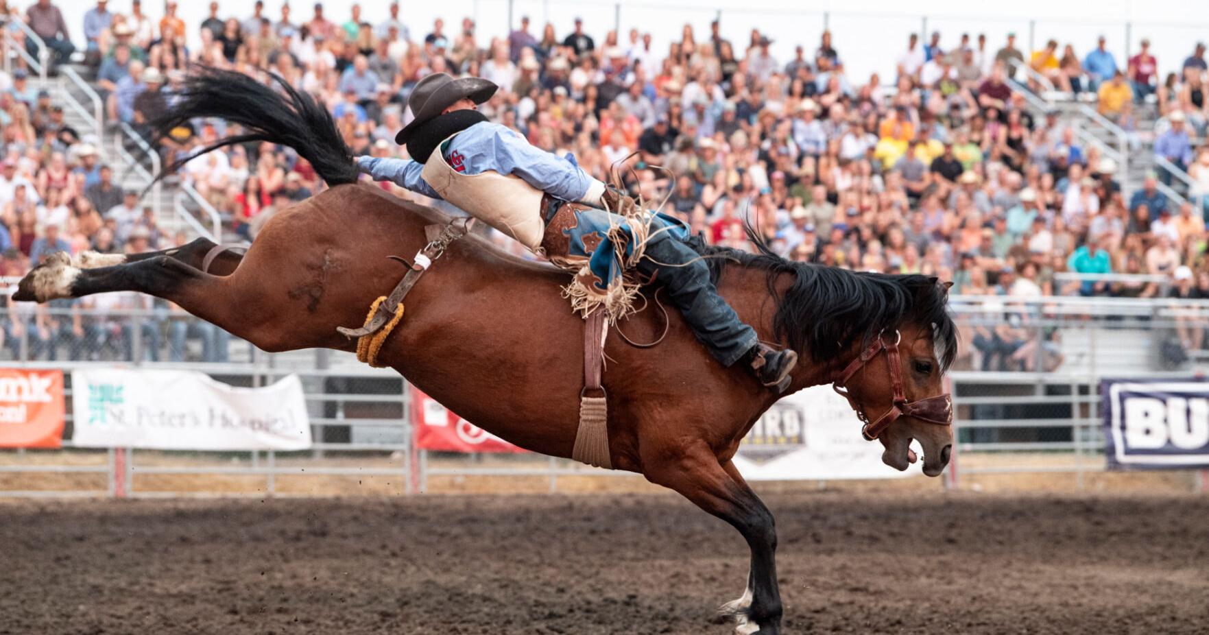 Rodeo, concerts, carnival and more on tap for Helena's Last Chance Stampede and Fair - Vimarsana News