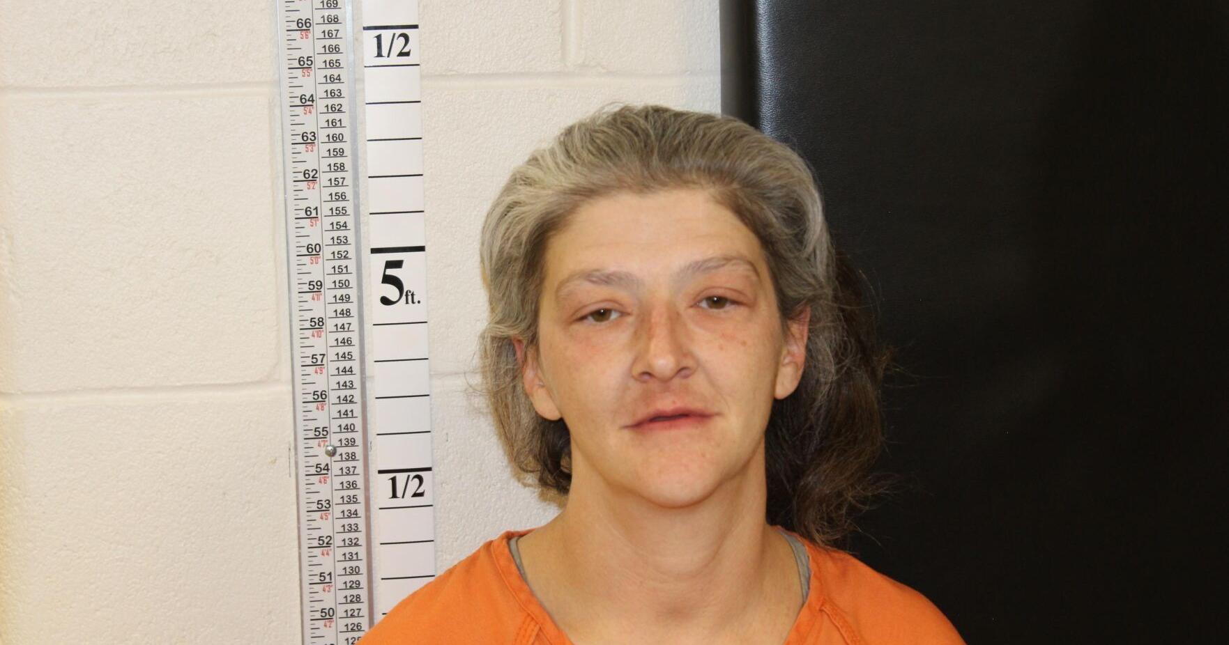 Helena woman accused of kicking officer faces felony charges - Vimarsana News