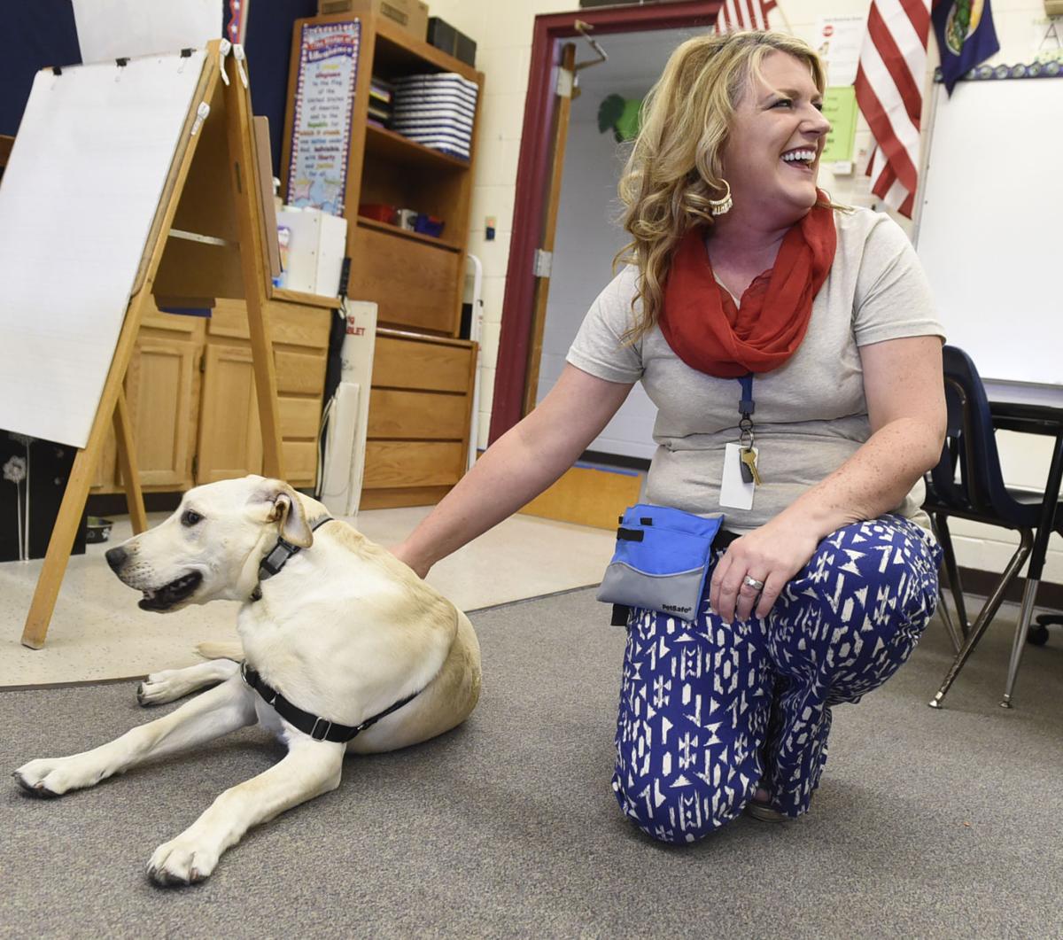 Governor the facility dog rules at Radley School Education News