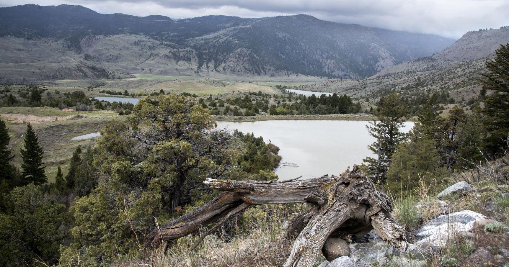 Feds to build wetlands outside Yellowstone, Slip and Slide - Vimarsana News