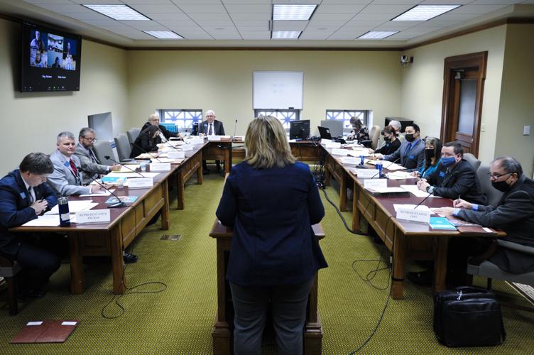 A lobbyist testifies before a House committee