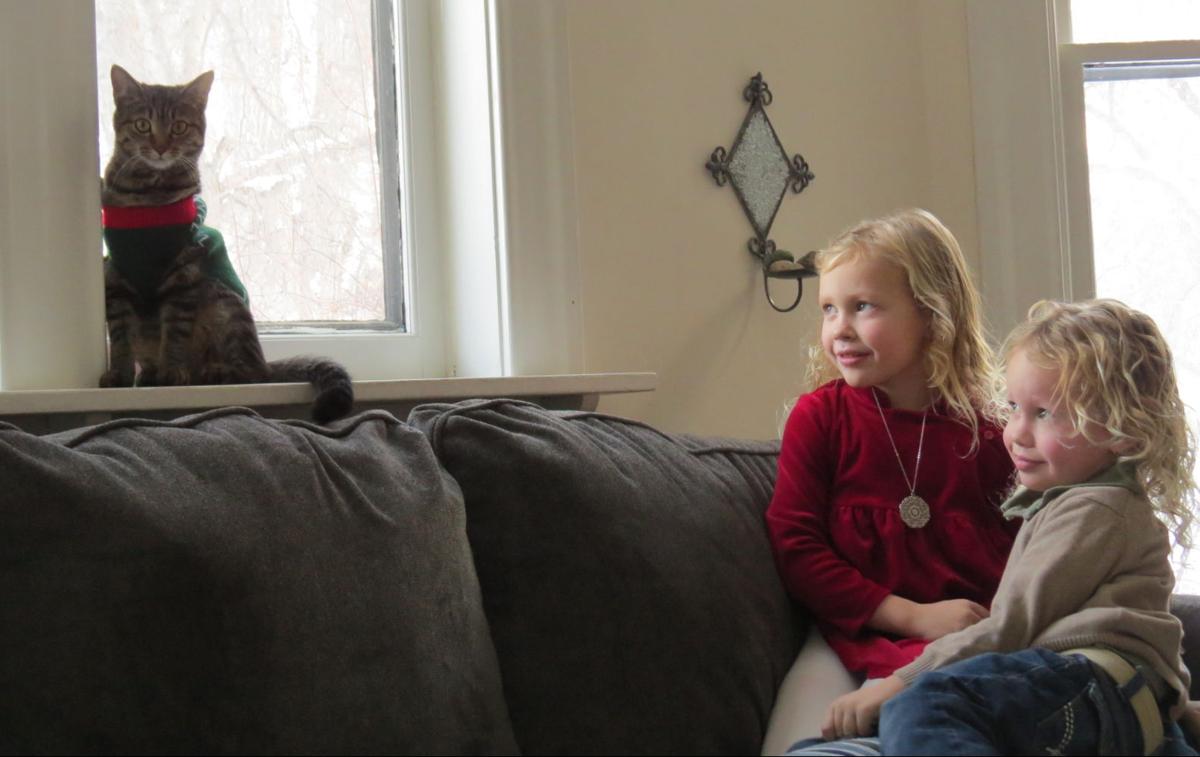 Roxy River the Adventure Cat reunited with family for Christmas that Roxy River the Adventure Cat lead
