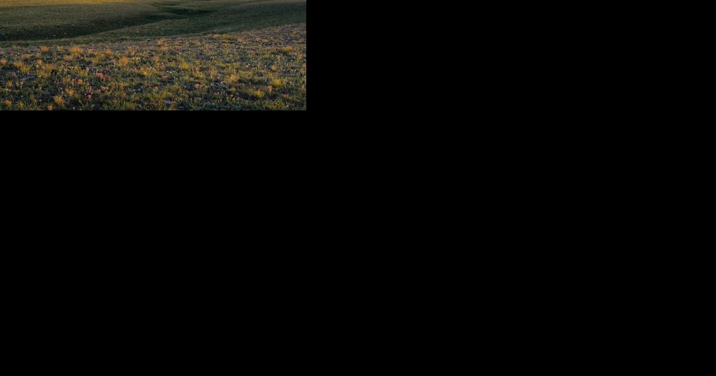 Land Board approves purchase of Big Snowy Mountains Wildlife Management Area - Vimarsana News